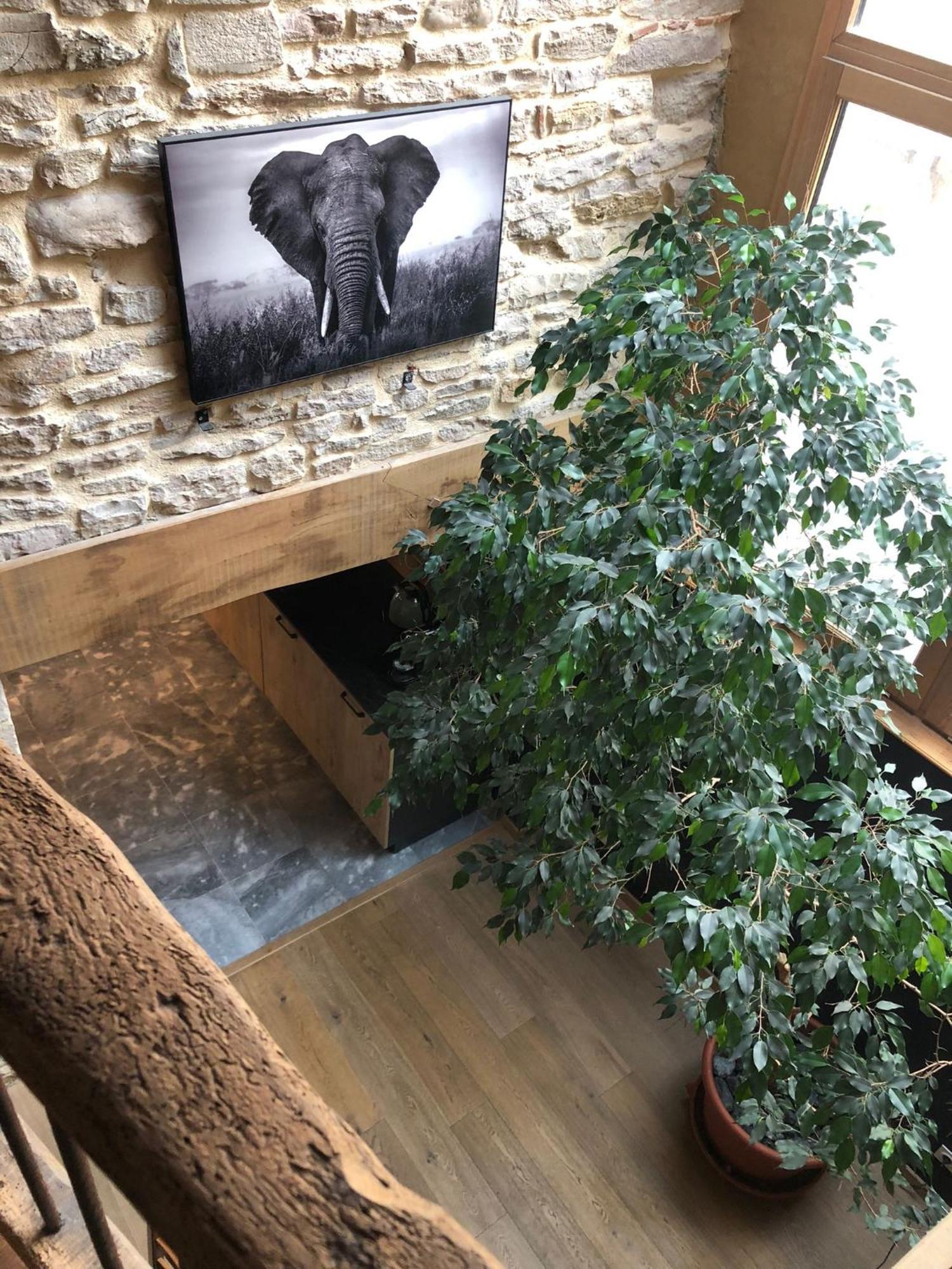 Maison Millot Beaune  Dış mekan fotoğraf